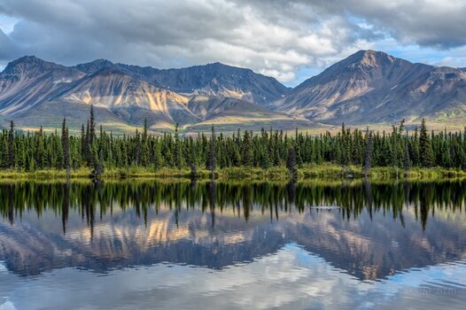 Denali Highway Spiegelunga.jpg