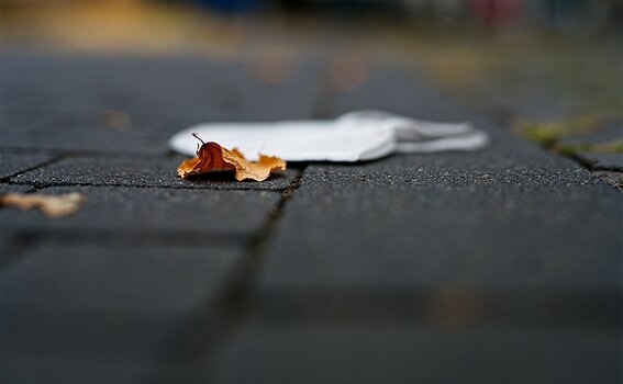 VG_850_9184_on1-landscape-1.jpg