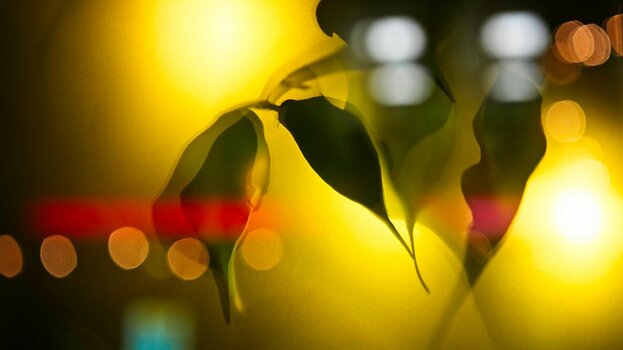 VG_850_4379_on1-landscape-1.jpg