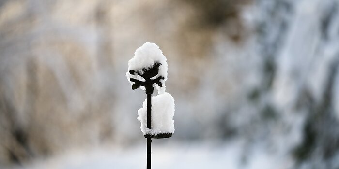 VG_850_4949_on1-landscape-1.jpg