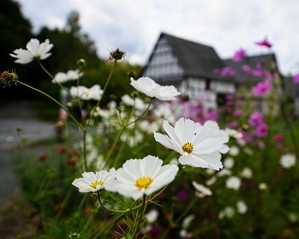 VG_850_2756_on1-landscape-1.jpg