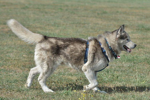 Melle 08_2022-067.jpg