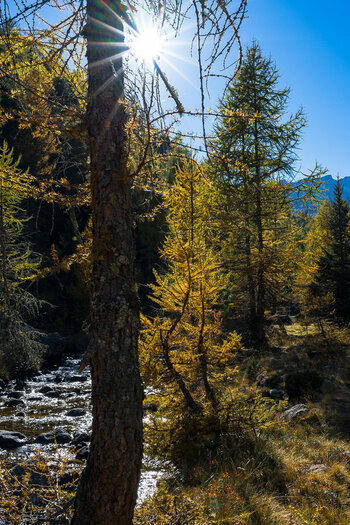Südtirol Oktober-2628.jpg