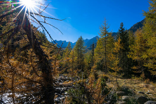 Südtirol Oktober-2629.jpg