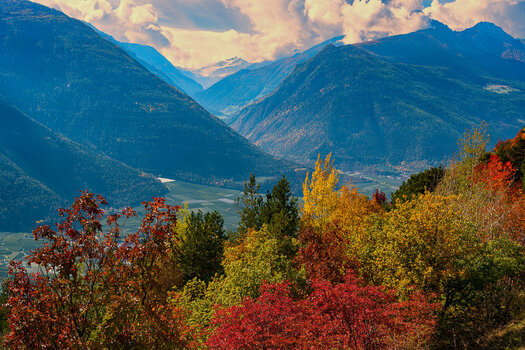 Südtirol Oktober-2692-Bearbeitet.jpg