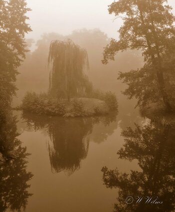 Nebel 025_00001_DxO.jpg