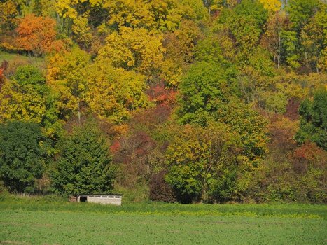 PA092638n.JPG