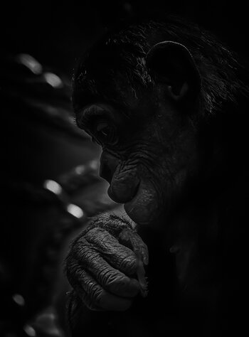 750_0687_DxO-Bearbeitet.jpg
