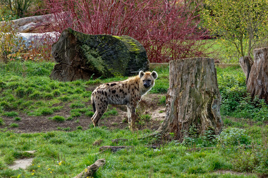 750_0601_DxO.jpg