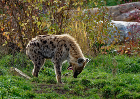 750_0605_DxO-Bearbeitet.jpg