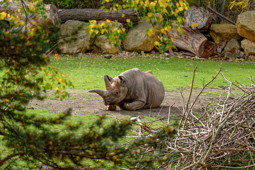 750_0597_DxO-Bearbeitet.jpg