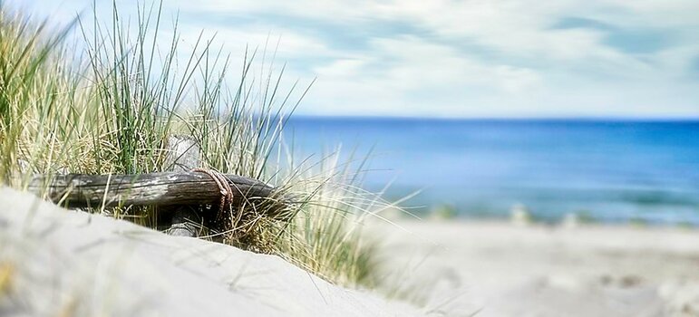 nf_668_on1-landscape-1.jpg nf_668_on1-landscape-1.jpg
