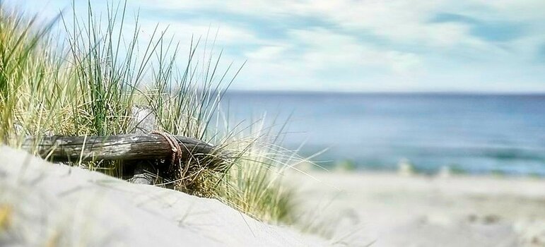 nf_668_on1-landscape-1_on1-landscape-1.jpg nf_668_on1-landscape-1_on1-landscape-1.jpg