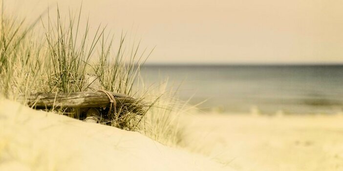 nf_668_on1-landscape-1.jpg nf_668_on1-landscape-1.jpg