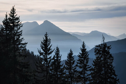 ROB_2091 Niesen Abend.jpg