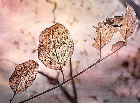 1556_Free_on1-landscape-1.jpg 1556_Free_on1-landscape-1.jpg
