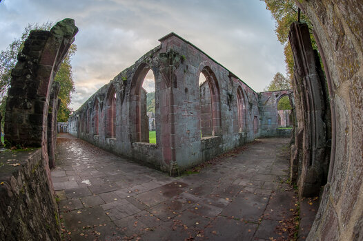 _7025103-HDR.jpg