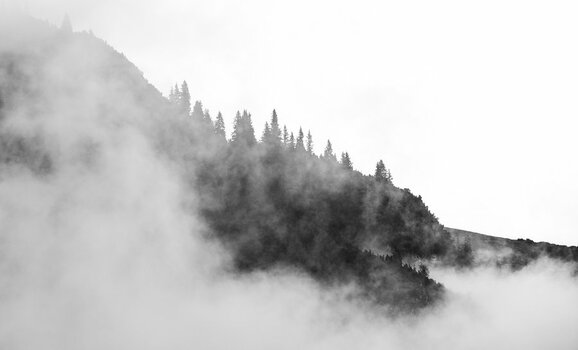DSC_9802-2.jpg