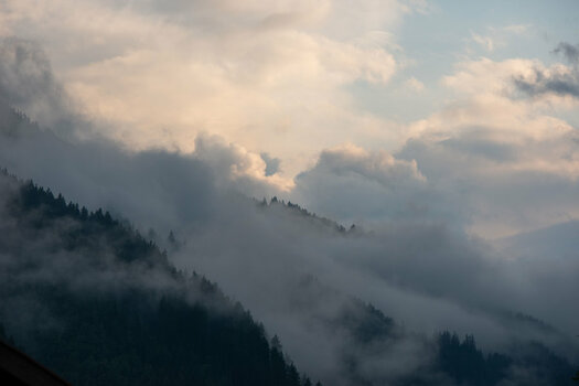 DSC_9818-web-2.jpg