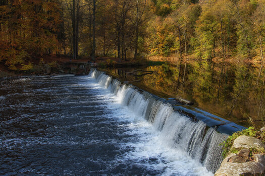 750_0765-Bearbeitet.jpg
