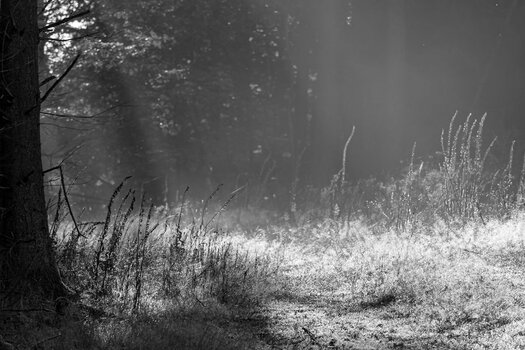 E75D3163-27A6-4BC6-B9D0-D8DBE76A2FDD.jpeg
