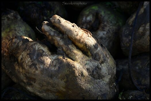 comp_Eine Hand ragt aus dem Rübenberg_764.jpg