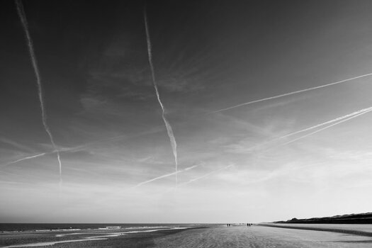 2639B307-0574-47A3-B6AB-83EFAB23ED6F.jpeg