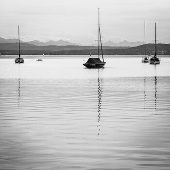 DSC_0291.jpg