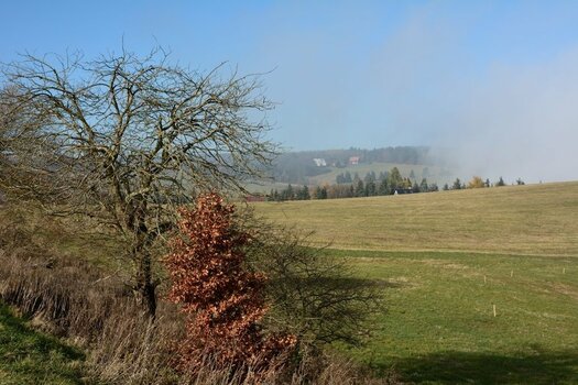 DSC_0981_00001n.jpg