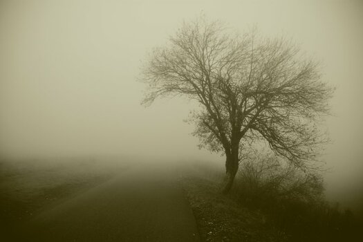 DSC_1059_00001n.jpg