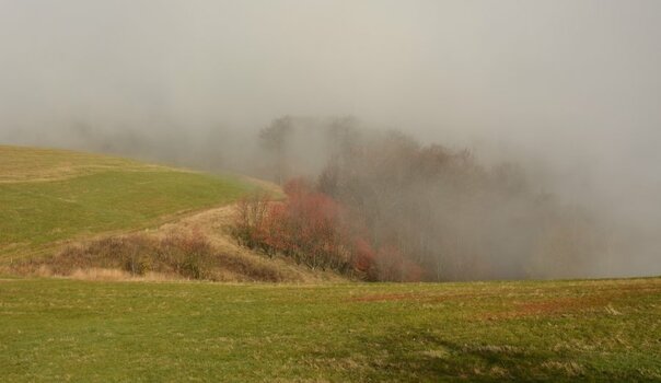 DSC_0980_00001_05n.jpg