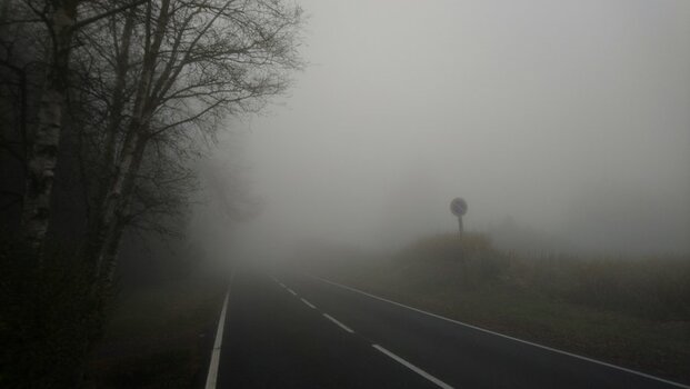 DSC_1167n.JPG