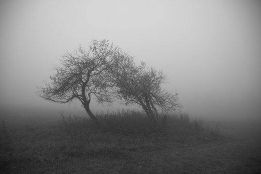 DSC_1060_00001_01n.jpg