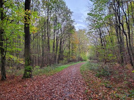 20221108_162907.jpg 20221108_162907.jpg