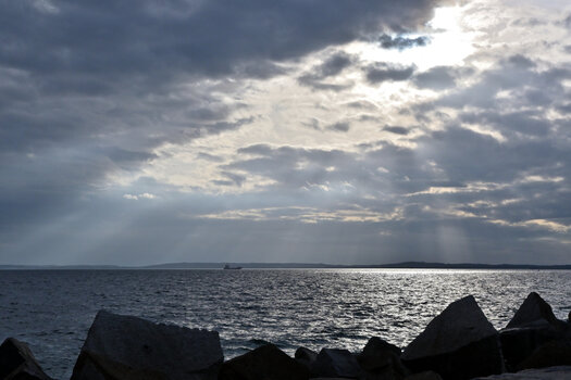 20221109_140355_nf.JPG