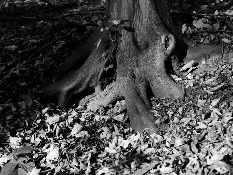 P1040957n.JPG