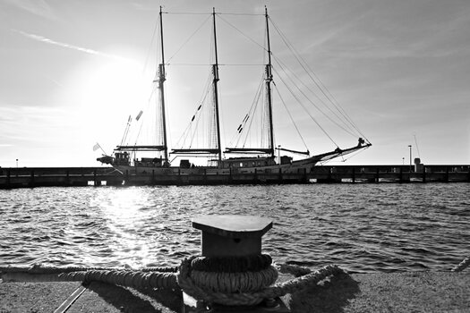 20221108_090345bw_nf.JPG