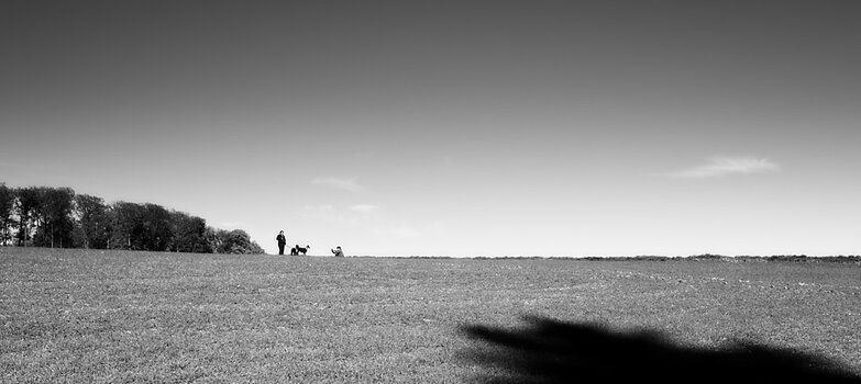 VG_500_6382v1.nef_on1-landscape-1.jpg