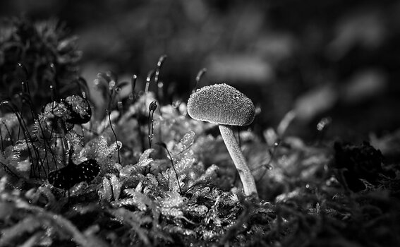 VG_500_6297_on1-landscape-1.jpg