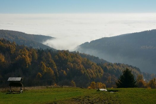 DSC_1062_00001_01n.jpg
