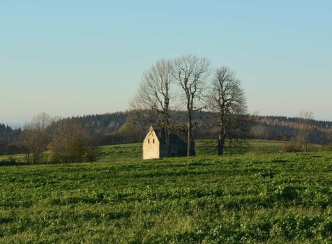 DSC_1113_00001_02n.jpg