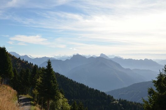 DSC_0454.JPG