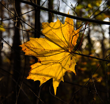 750_1016.jpg