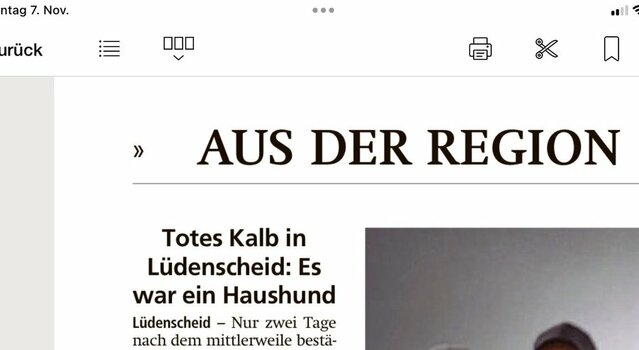 Kalb.jpg