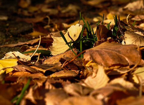 750_1087_DxO.jpg