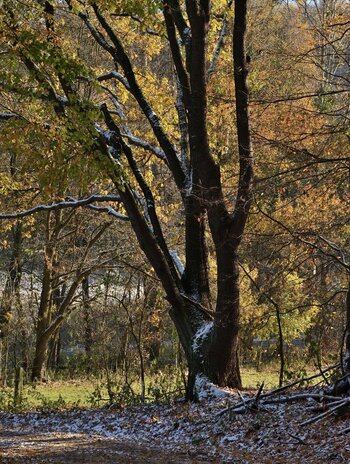 DSC_3553_00001 (2)n.jpg