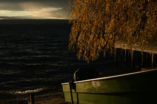 HSC_7215_0001.jpg