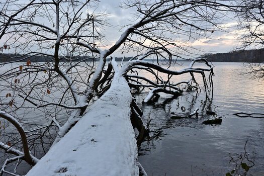 20221120_155220_nf.JPG