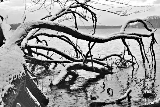 20221120_155322bw_nf.JPG