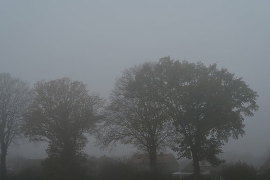 Morgennebel.JPG